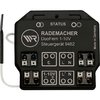 Rademacher Funk-Steuergerät 1-10V Rollotron DuoFern